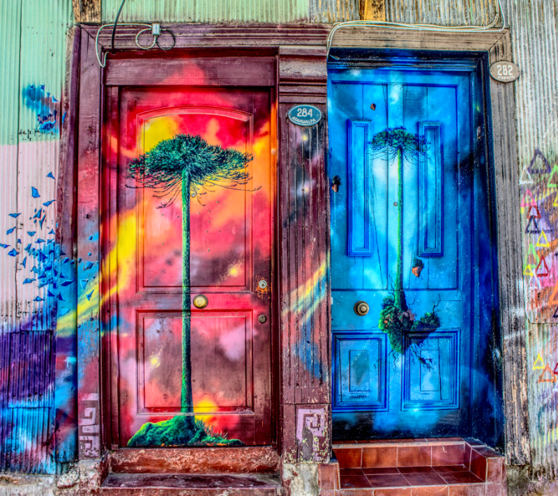 2 doors with street art painted over them, it shows a tree on a red background on the left and over a blue background on the right.